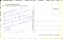 CPA Hyeres Les Palmiers Avenue Gambetta