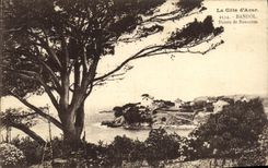 VINTAGE POSTCARD Bandol Top of Renecros