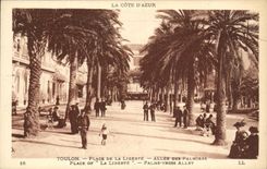 VINTAGE POSTCARD Toulon Places Gone Freedom Of the Palm trees