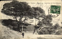 VINTAGE POSTCARD Toulon Cape Brown Pines Of Mejeart Port