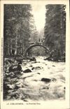 VINTAGE POSTCARD Gerardmer the Bridge of the Fairies