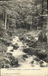 VINTAGE POSTCARD Gerardmer Vologne has Retournemer