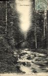 VINTAGE POSTCARD Gerardmer the Bridge of the Fairies