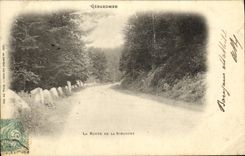 VINTAGE POSTCARD Gerardmer the Road Of Schlucht