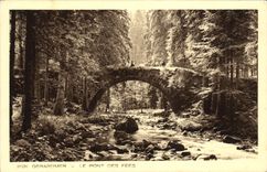 VINTAGE POSTCARD Gerardmer the Bridge Of the Fairies