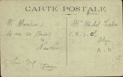 Parcial vista cementerio arabe de Argel de la POSTAL de la VENDIMIA