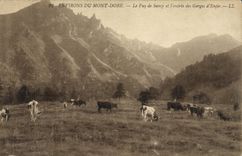 VINTAGE POSTCARD Environs Of the Mount Gilds Puy de Sancy and I entered of the throats D Vaches hell