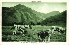 VINTAGE POSTCARD L Auvergne Landscape Valley D Hell Cows