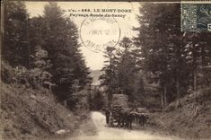 VINTAGE POSTCARD the Mount Gilds Landscape Road Of Sancy Oxcart Bois Foresters