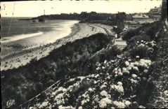 CPA Biarritz Les Hortensias Et La Grande Plage 