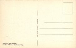 CPA Biarritz La Place Bellevue La Grande Plage 