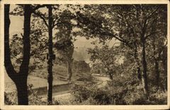 VINTAGE POSTCARD Hendaye the wood of Saskoenea