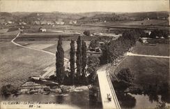 VINTAGE POSTCARD Cambo the Bridge Avenue of the station