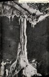 VINTAGE POSTCARD Caves of Betharram Roman Column
