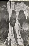 VINTAGE POSTCARD Caves of Betharram Columns Of the Palm trees