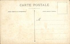 VINTAGE POSTCARD Caves of Betharram Columns Of the Palm trees