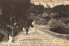 CPA Biarritz Le Boulevard Des Tamaris Et Le Tunnel 