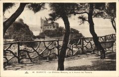 CPA Biarritz Le Chateau Basque Vu A Travers Les Tamaris 