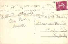 CPA Biarritz Le Chateau Basque Vu A Travers Les Tamaris 