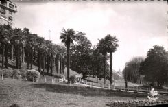 CPSM Pau Palm plantation and L Which occurred of the Station