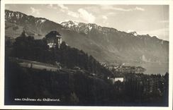 CPA Chateau Du Chatelard 