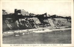 CPA Biarritz Cote des Basques et Helianthe sur la Falaise