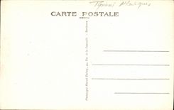 CPA Biarritz Cote des Basques et Helianthe sur la Falaise