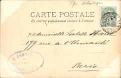 CPA Biarritz Mouette Planant pres des Rochers