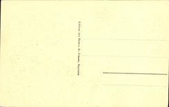 CPA Biarritz Le Chateau Basque et les Pyrenees