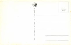 VINTAGE POSTCARD Geneva Roads And Mont Blanc