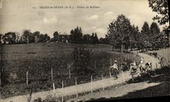 VINTAGE POSTCARD Dirtied De Bearn Firm De Bailleux Shepherd and his cows