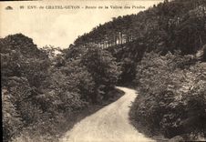 VINTAGE POSTCARD Env De Chatel Guyon Road of the Valley Of Prades