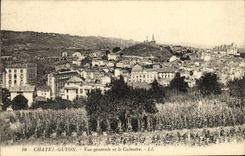 Opinion de Chatel Guyon de la POSTAL de la VENDIMIA y el martirio