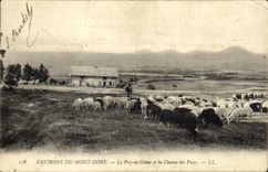 VINTAGE POSTCARD Environs of the Mount Gilds Puy de Dome and the Chain Of Puys Berger and sheep
