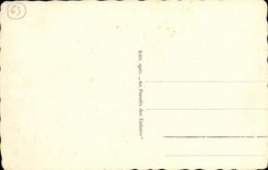 VINTAGE POSTCARD Bourboule View Taken Of the Plate of Charlannes