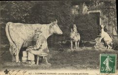 Jardin de Clermont Ferrand de la POSTAL de la VENDIMIA del asno Petrifying de la vaca de la cabra de la fuente