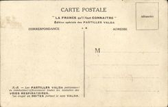 VINTAGE POSTCARD Pau the Low Pyrenees