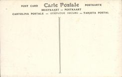 VINTAGE POSTCARD Pau the Castle Eastern Frontage