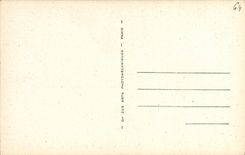 VINTAGE POSTCARD Pau the Castle Room of Psyche Chimney as a Pierre