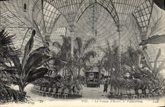 VINTAGE POSTCARD Pau the Palate D Winter the Palm house