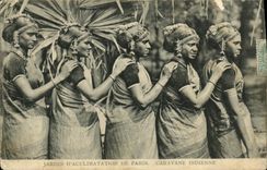 CPA Paris Caravane Indienne Jardin d acclimatation 