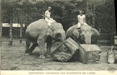 CPA Paris Exposition Coloniale Les Elephants De L inde 