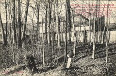 VINTAGE POSTCARD Roville with the Militaria oak