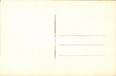 VINTAGE POSTCARD Festivals of July 14th  1919 Militaria Paris