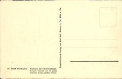 VINTAGE POSTCARD Wiesbaden Kurhaus put Gartenterrasse