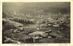 CPA La Bourboule Vue Generale du Rocher des Fees Moutons