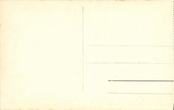 CPA La Bourboule Parc Fenestre Le Lac