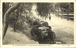 CPA La Bourboule Les Petits anes Attendent les Clients