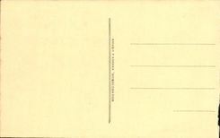 VINTAGE POSTCARD L Spine Notre Dame Basilica the Miraculous Virgin