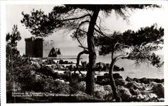 VINTAGE POSTCARD Cannes Ruins of the Old man fortiifie of L Abbey of Lerins